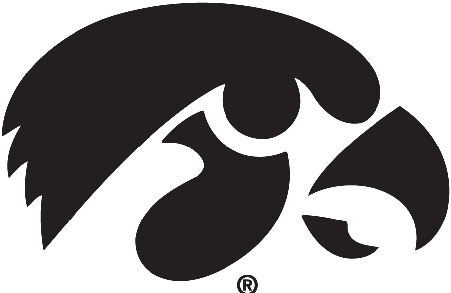 Iowa Hawkeyes 1979-Pres Alternate Logo fabric transfers...